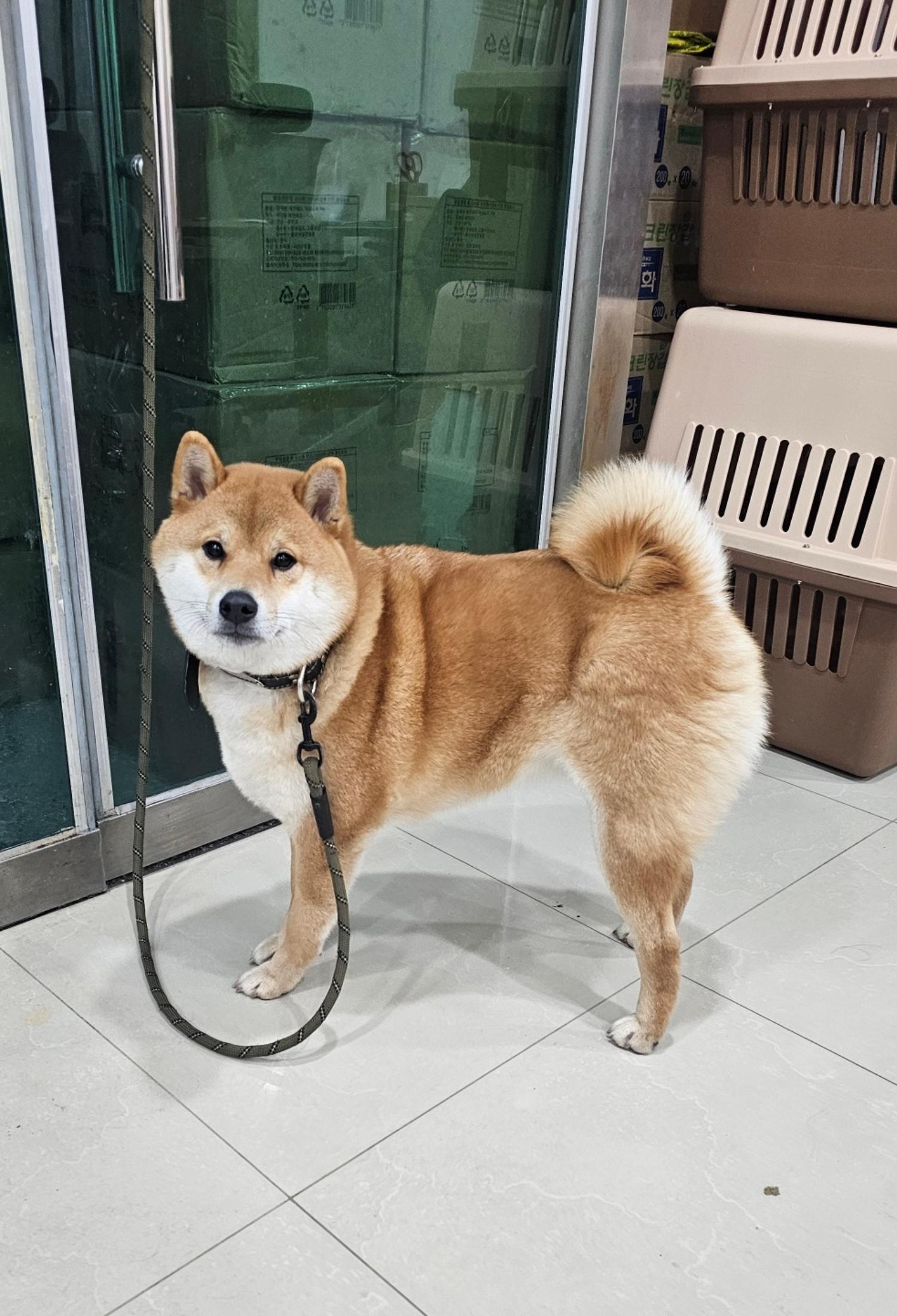 반려동물보호센터_443571202403320